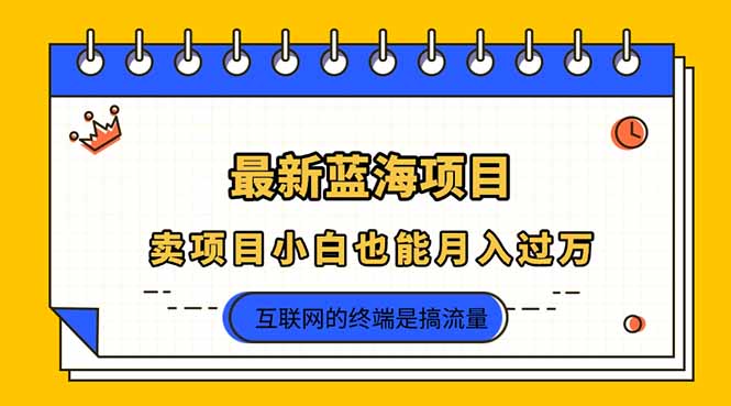 （14289期）2025年最新蓝海项目，卖项目小白也能月入过万-亮剑学堂